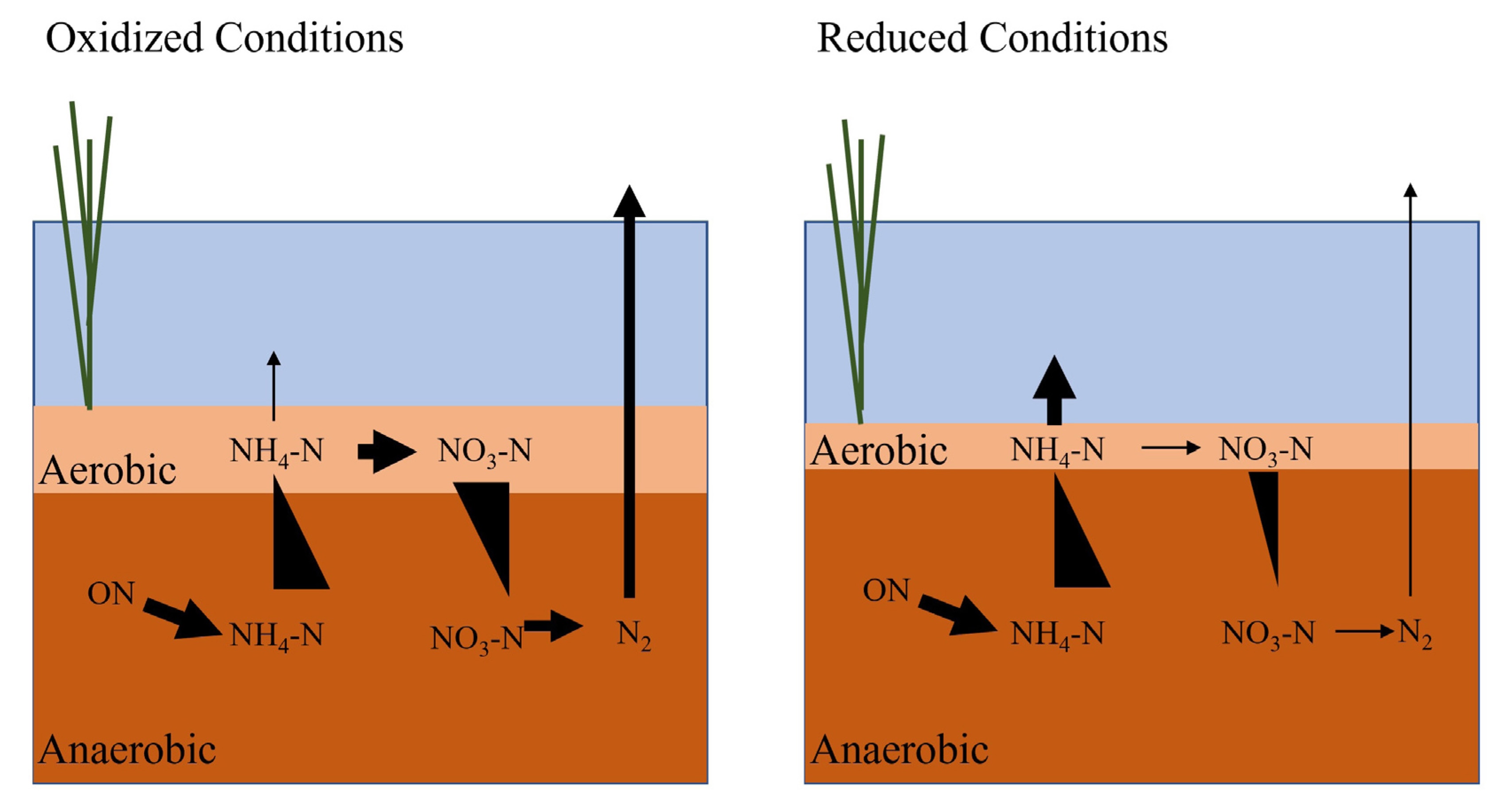 A diagram showing oxidized and reduced conditions side-by-side. Each is represented by a rectangle colored with horizontal bars in light blue, tan, and brown.